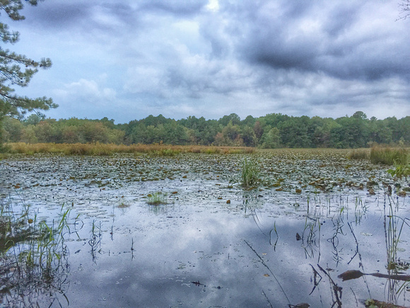 Black Run Preserve